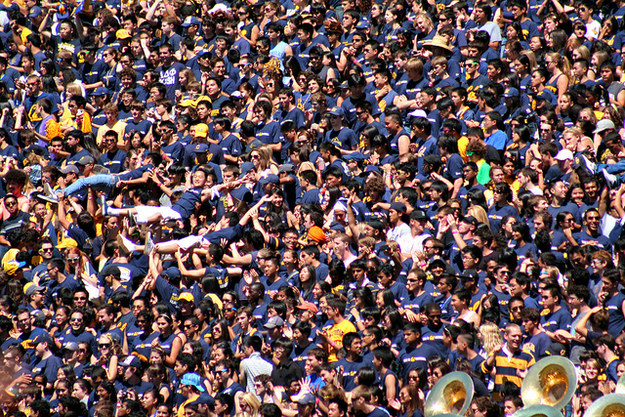 Card-Carrying Alum