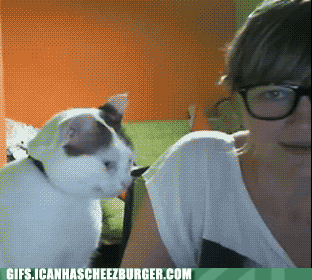 What have you got against glasses, dude?