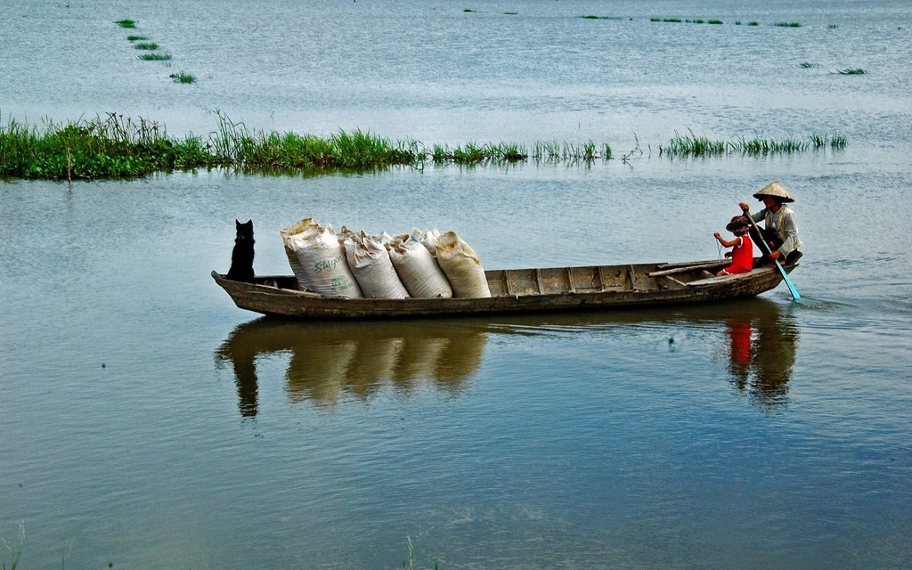 A woman transports rice in Vietnam.