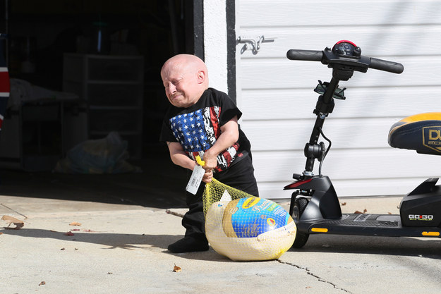 Verne Troyer Carrying A Turkey Is The True Meaning Of Thanksgiving