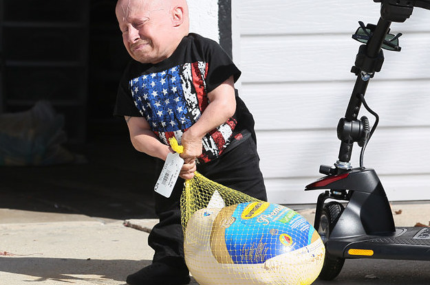 Verne Troyer Turkey Purchase