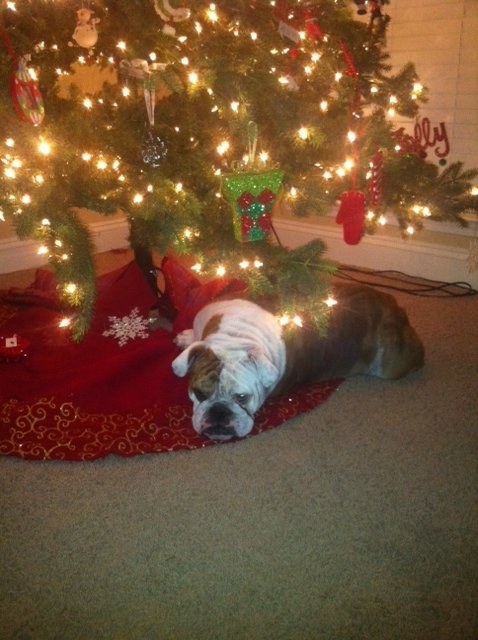 Lazy Christmas