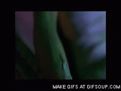 anigif_enhanced-16602-1417322341-21.gif