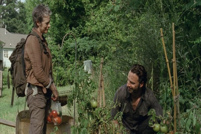 Season 4, Episode 4Directed by: Tricia BrockWritten by: Matthew NegreteDaryl, Tyreese, Michonne, and Bob continue to the veterinary college on foot in search of medicine. Rick and Carol go on a run to a nearby town where they find two uninfected stragglers.