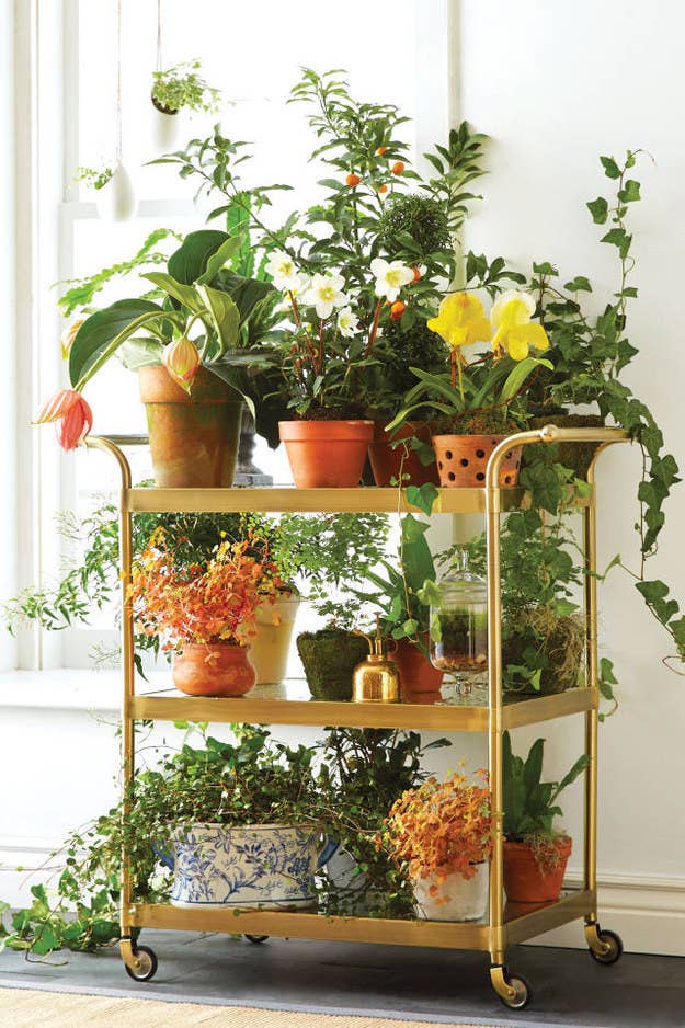 25 Awesomely Creative Ways To Use A Bar Cart