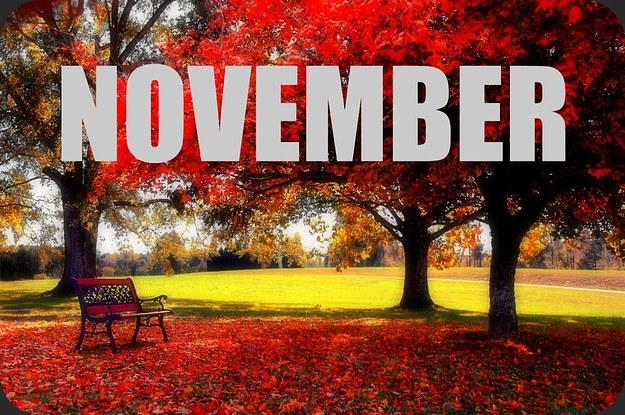 November, Not Just For Turkeys