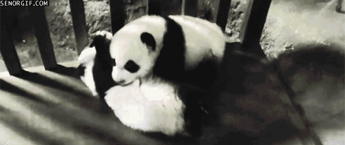 "Please... so busy... please just tell me what to buy you."