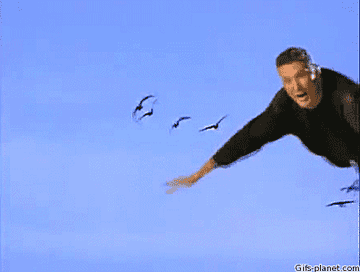 25 Gifs That Pay Tribute To Germany S Love Of David Hasselhoff