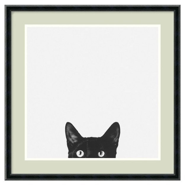 Curiosity never looked so artsy.