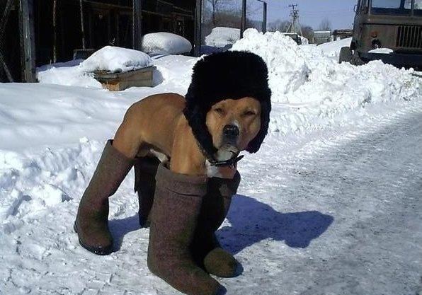 Now: "OMG it's 20 degrees. Just pick a spot and GO already!"