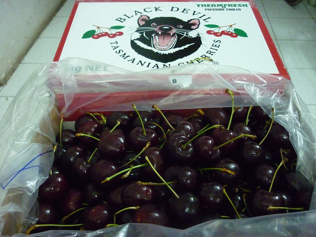 You can even find cherry cider too!