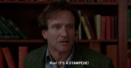 LOL, I don't run.