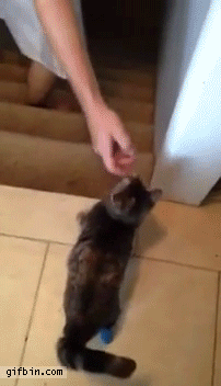 Because brave AND adorable.