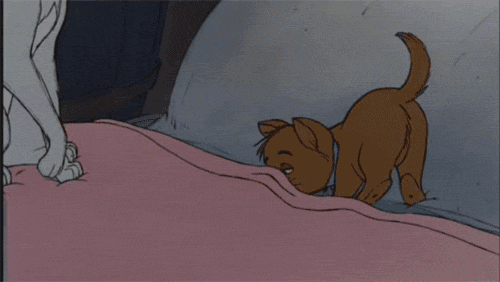 Now you're definitely going to be late. Do you get back in your bed?