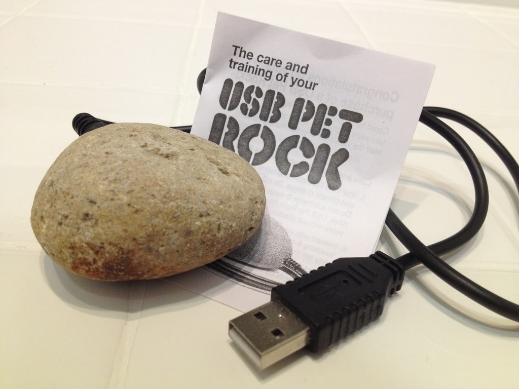 This one is pretty miraculous. After you boot up your computer or laptop, you can plug this rock into your USB slot and watch with awe as absolutely nothing happens. That's right - electricity will fail to surge through the rock and it will actually transform into an inanimate, geological formation right there and then. Naturally, this is the start of a wild revolution in technology.
