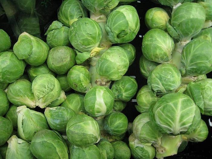 The traditional UK Christmas dinner is the centrepiece of festivities; roast turkey or goose with roast potatoes, and all the trimmings of stuffing, sprouts and cranberry sauce. However the evolution of eating turkey is relatively recent in English history, as the famous festive fowl didn’t arrive in the UK until the 1700s. In Medieval England the main course was either peacock or boar. The beloved mince pie was a recipe brought back from the Middle East by Crusaders, originally made with meat instead of the lovely fruits and spices we know today. However in the 17th century, Oliver Cromwell decided that this Christmas dish was too decadent, and banned eating it on Christmas Day – a law that has yet to be abolished!Did you know? Brussel sprouts are one of the healthiest veggies around, and a fantastic source for your key vitamins. Packed with Vitamin K and C, these little greens are full of antioxidants.