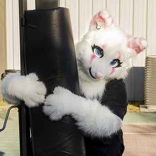 Furries Say They Aren't A Fetish, They're A Community, And They're Ready To  Be Taken Seriously