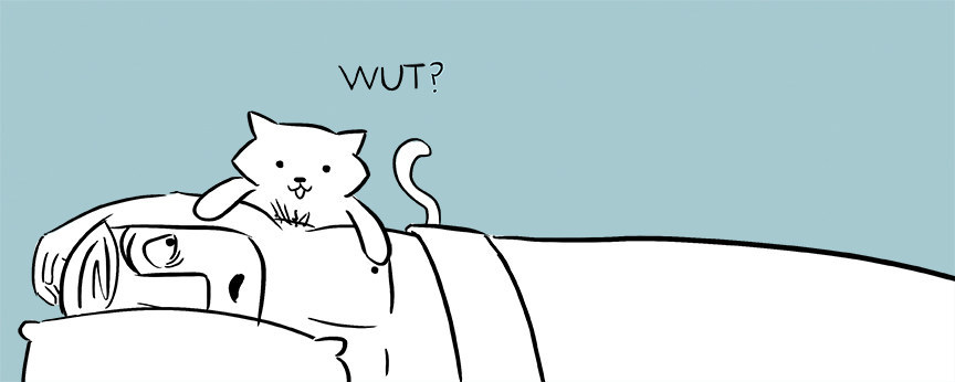 Cute cat stories sale