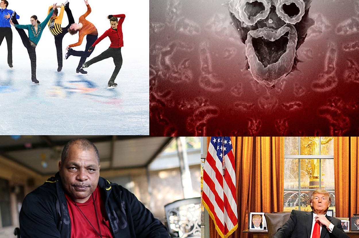 23 Of Our Favorite Feature Stories We Published This Year
