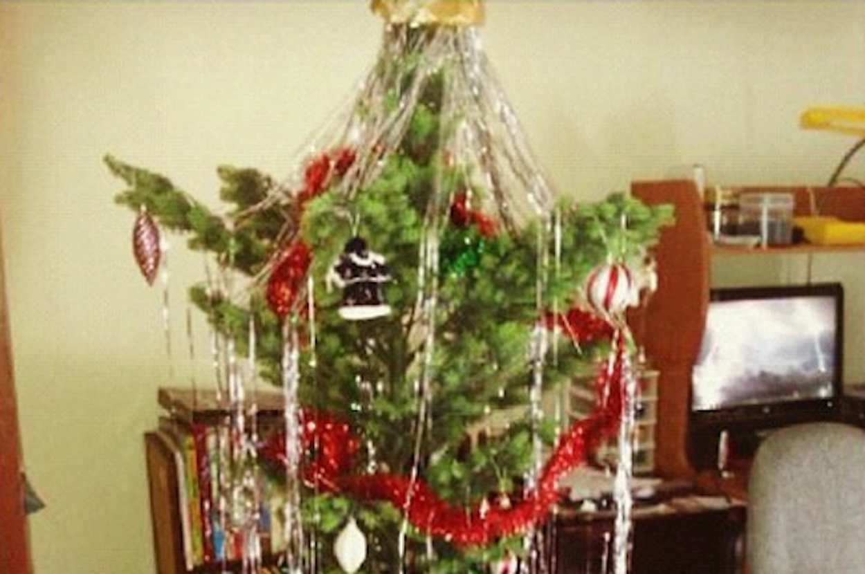 Christmas Tree Error 25 Christmas Trees That Forgot How To Christmas Tree