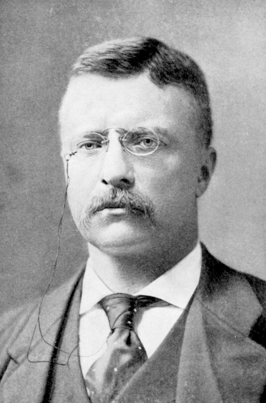 Theodore Roosevelt (26th President of The United States)