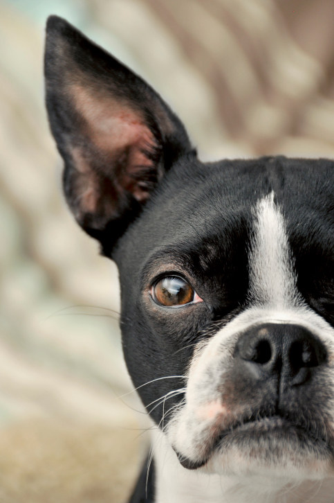 You’re on the tough side of cute