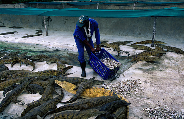 13 Of The Most Dangerous Jobs In The World