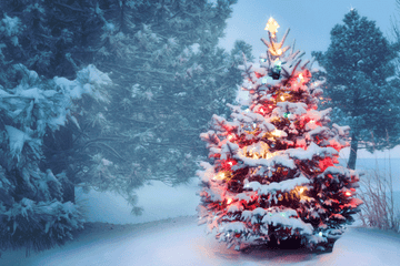 12 Kinds Of Everyday Magic That Only Happen During Christmas