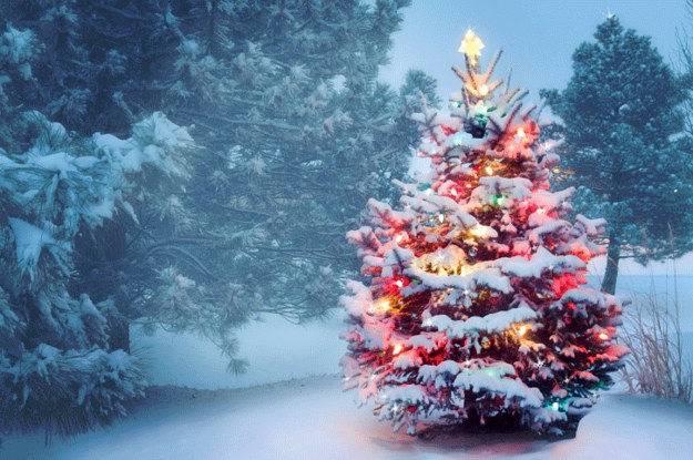 12 Kinds Of Everyday Magic That Only Happen During Christmas