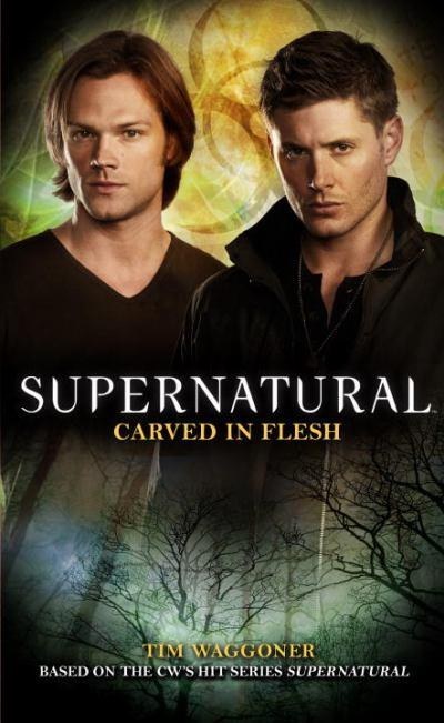 While the comic is a prequel, the novels claim to fill in some blanks in the tv series. $8.00 Amazon.com.