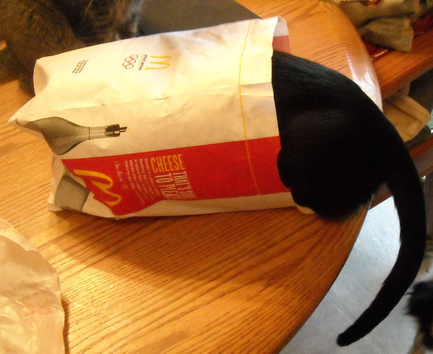 *Don't look at me*
