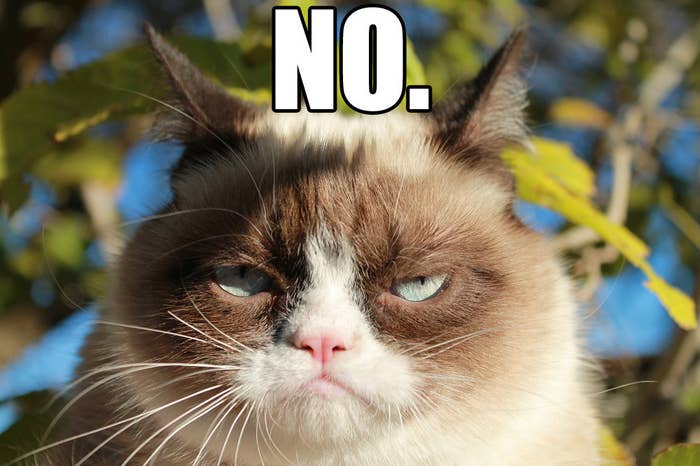 Can These Youtube Stars Get Grumpy Cat In The Christmas Spirit