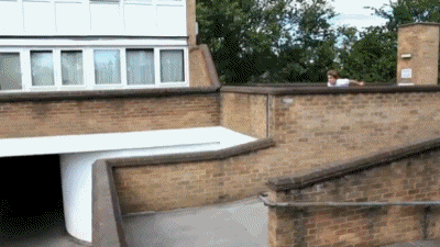 This guy has never been late for his dinner EVER.