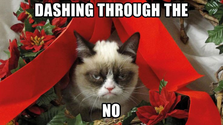 Grumpy Cat made nearly $100 million? Not quite, owner says. 