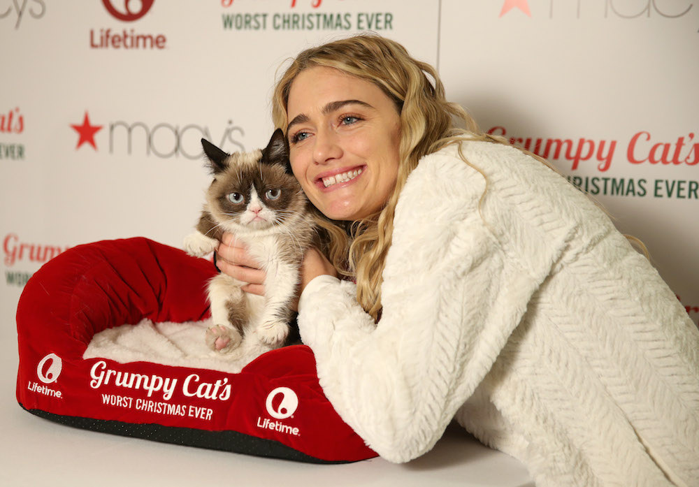 Grumpy Cat made nearly $100 million? Not quite, owner says. 