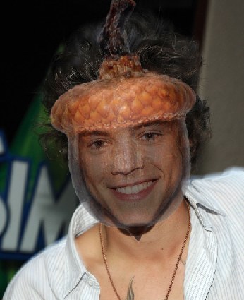 is it me or does it look like he's wearing an adorable hat????! ily
