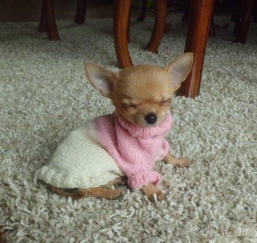 Ombre turtleneck, very on trend.