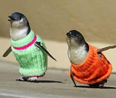 Fun in the sun turtleneck