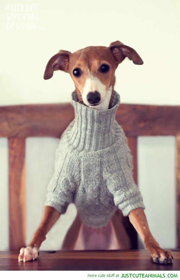 Who knew a turtleneck could be so slimming?