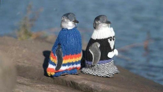 These daring fashionistas are trying out the turtleneck sweater dress. You go girls!