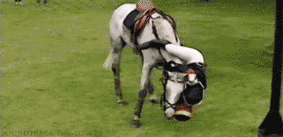 horse fall horses things eventing gifs equestrians understand true falling equestrian funny helmet nation buzzfeed believing stopped eventers never country