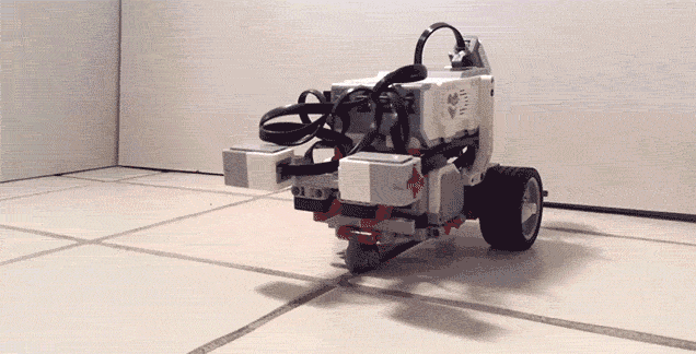 This robot thinks it's a worm. Yes. This is the real.