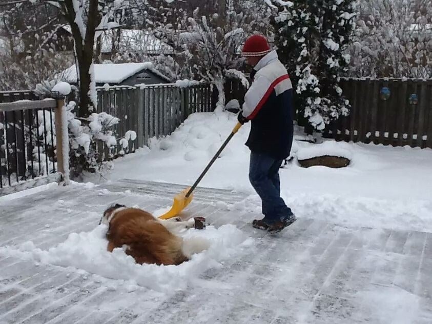 27 Times The World Needed A Better Word For Lazy 