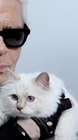 ET TU, CHOUPETTE?