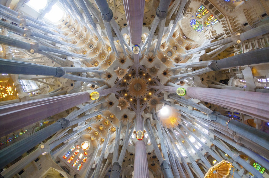 Techo de la Sagrada Familia en Barcelona.