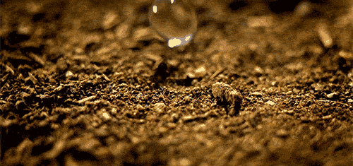 It's called petrichor. The word was coined by scientists in the 1960s and the smell itself is a mixture of compounds. One of those compounds is called geosmin and is given off by bacteria in soil, adding an earthy smell (it’s also found in beetroot). Other smells come from plant or animal matter that has accumulated in the ground.