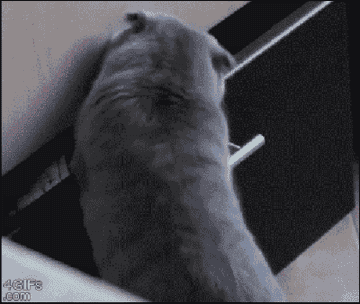 32 Gifs Guaranteed To Make You Laugh Every Time You make me smile the brightest. 32 gifs guaranteed to make you laugh