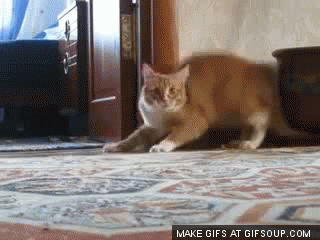 Gravity is optional.