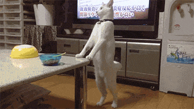 Act normal...act normal...