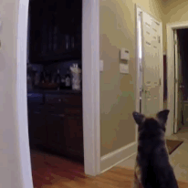 This Son Pranked His Mom With A Stuffed Animal And Her Reaction Is ...